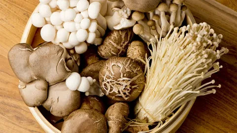 Mushroom Supplements: The Health Trend Everyone’s Talking About