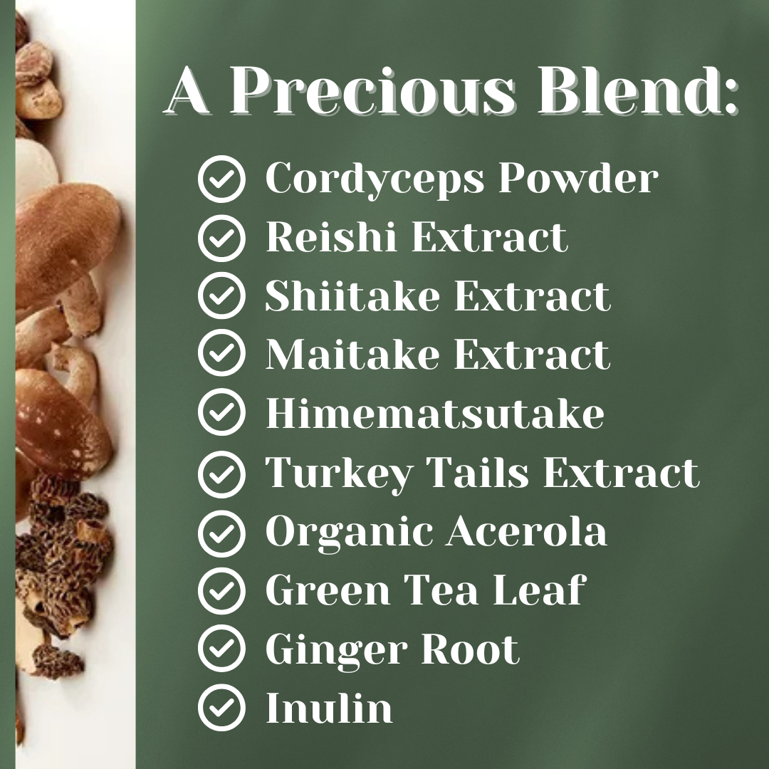 Fermented Mushroom Blend & Prebiotic