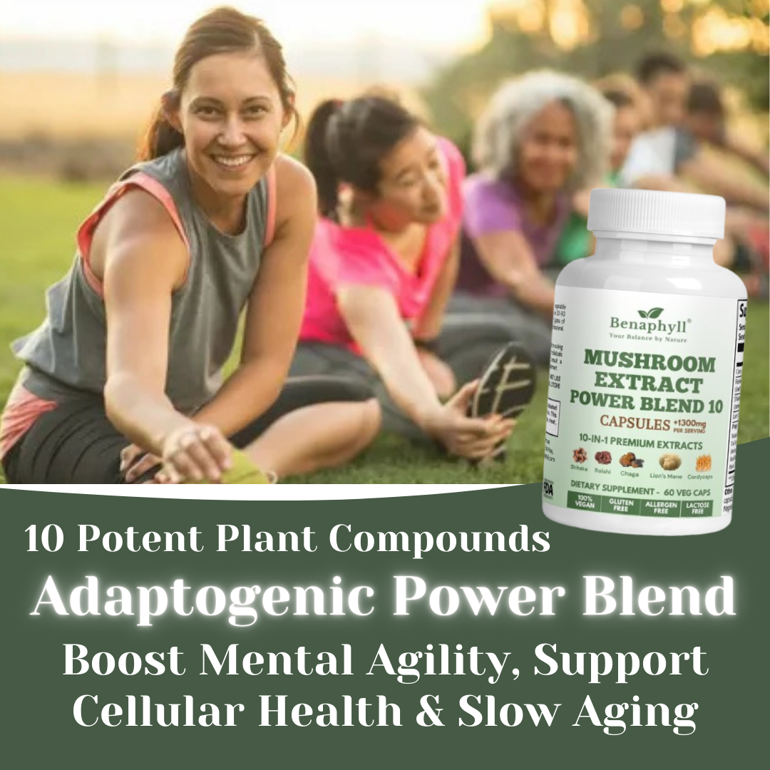 Mushroom Extract Power Blend 10 Caps