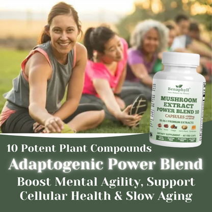 Mushroom Extract Power Blend 10 Caps